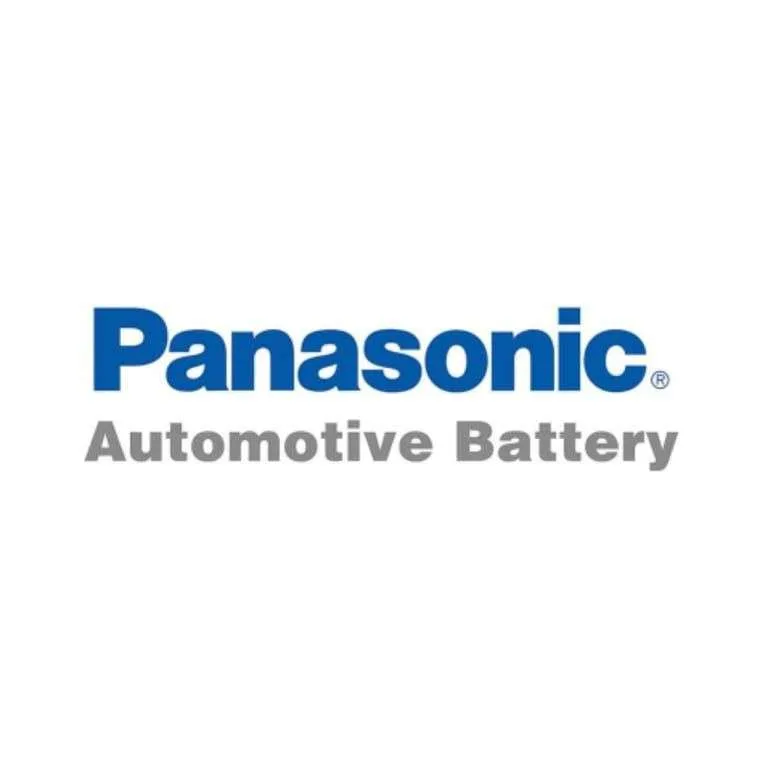 BATTERY WE CARRY