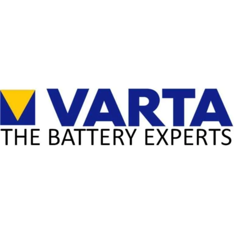 BATTERY WE CARRY