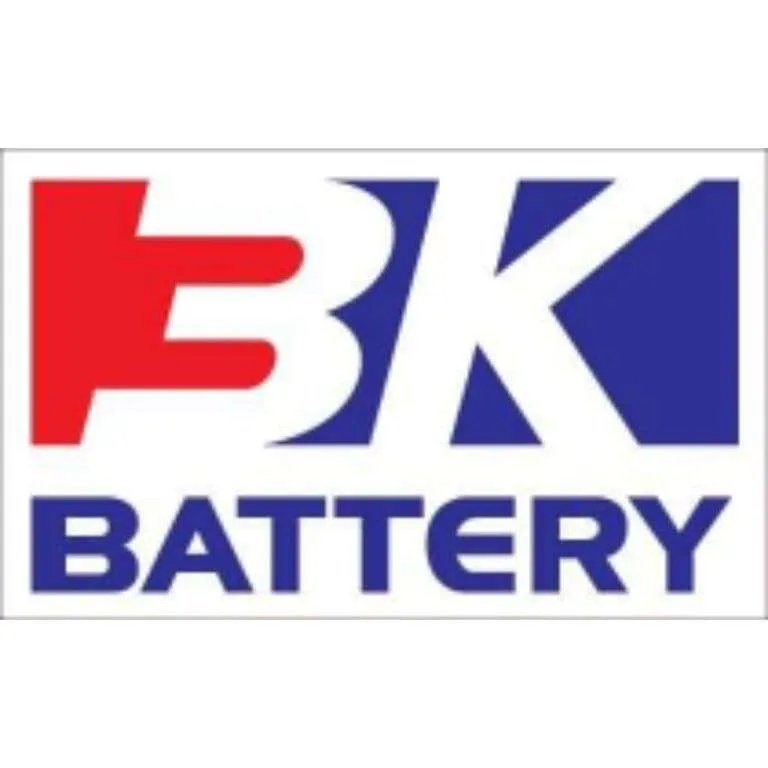 BATTERY WE CARRY